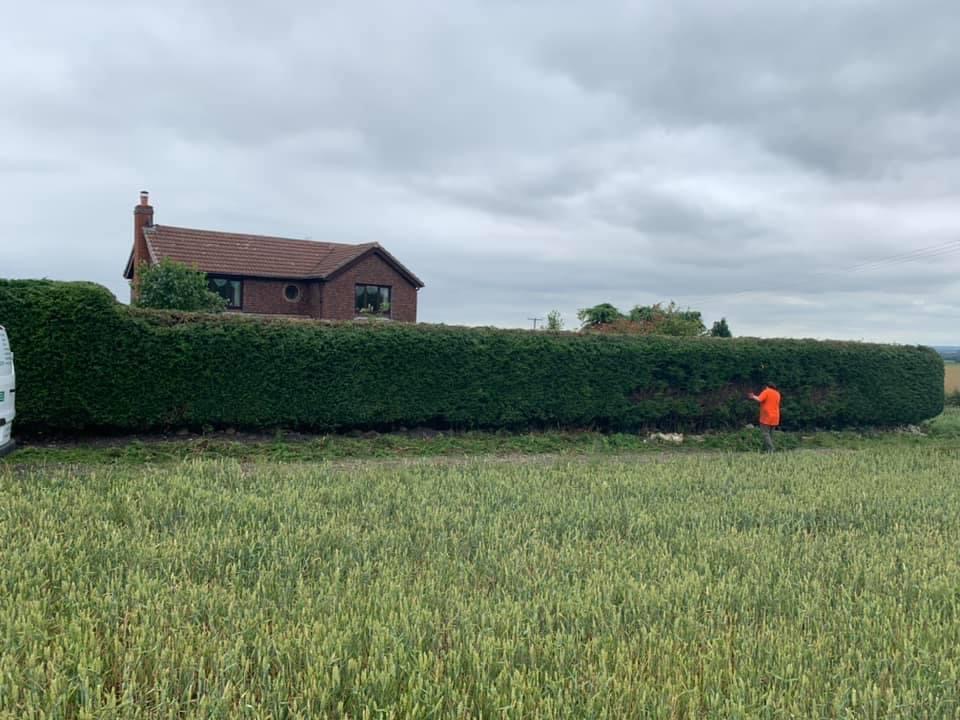 busmaster gardening image