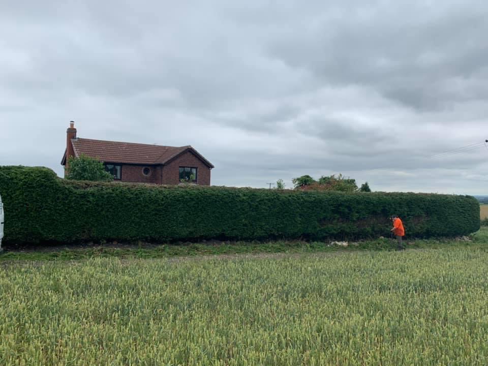 busmaster gardening image