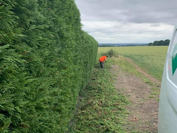 busmaster gardening image