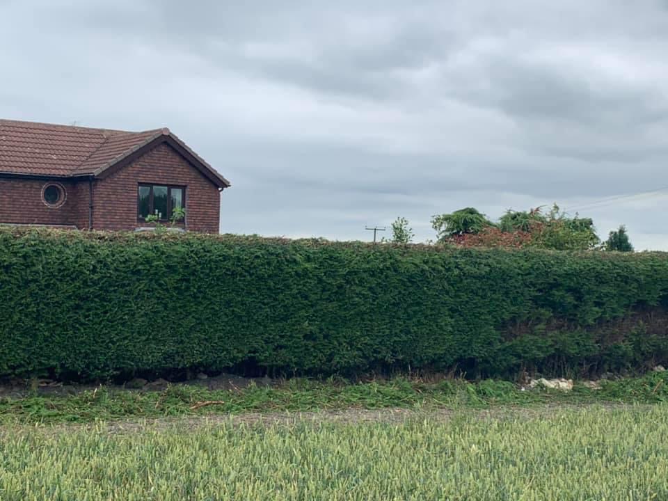 busmaster gardening image