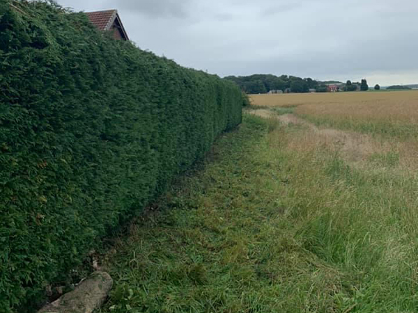 busmaster gardening image