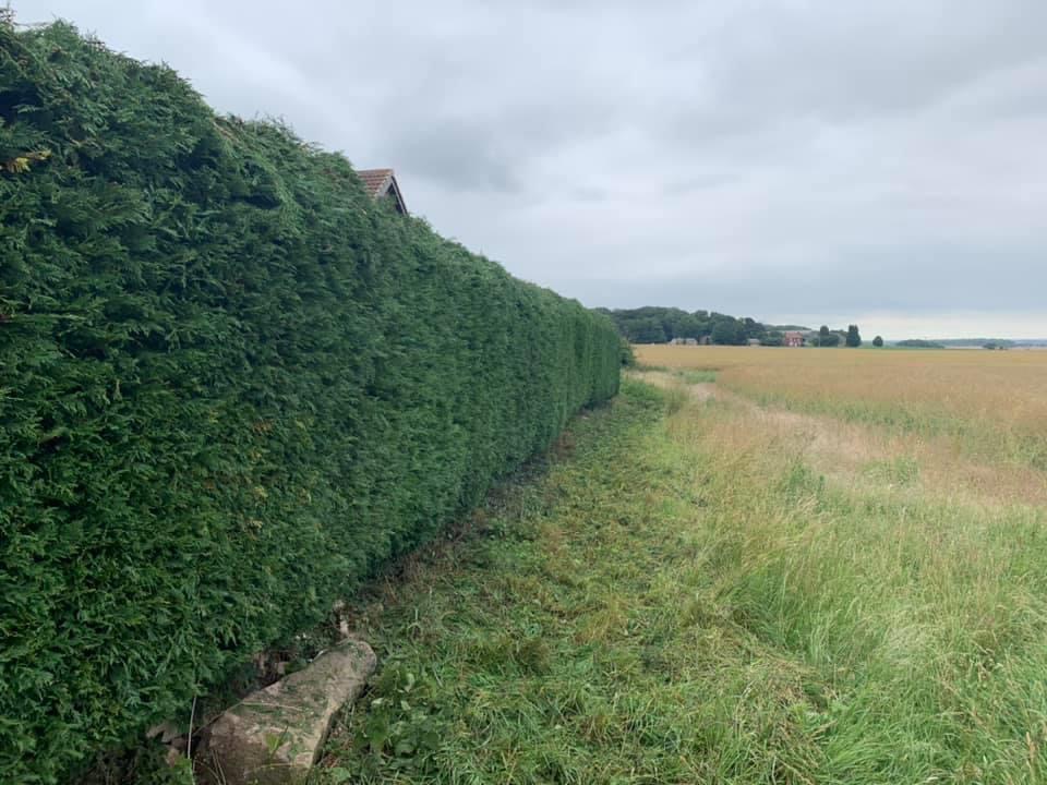 busmaster gardening image