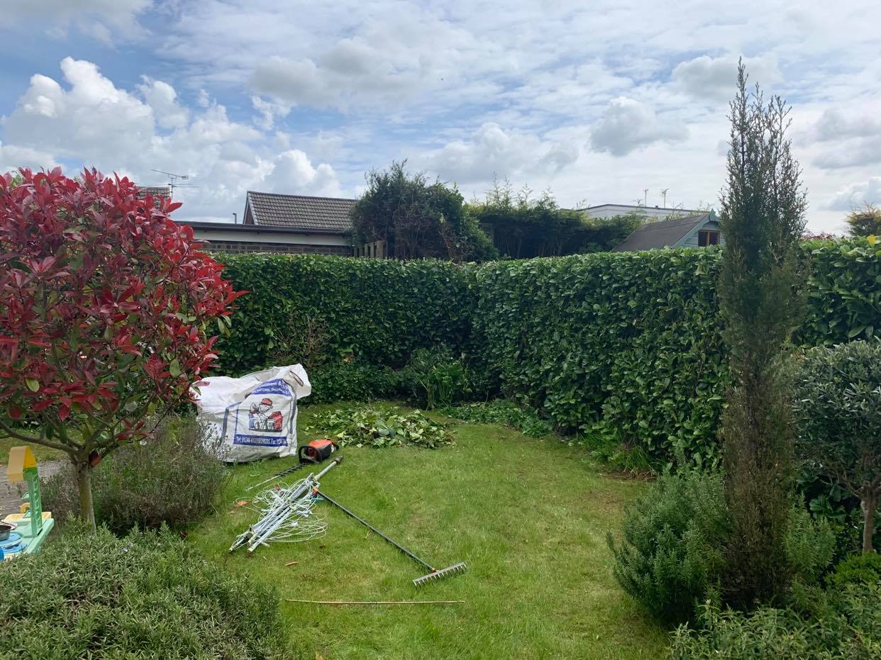 busmaster gardening image