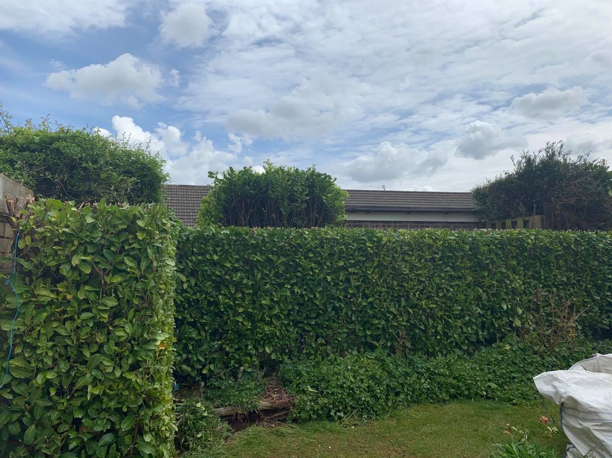 busmaster gardening image