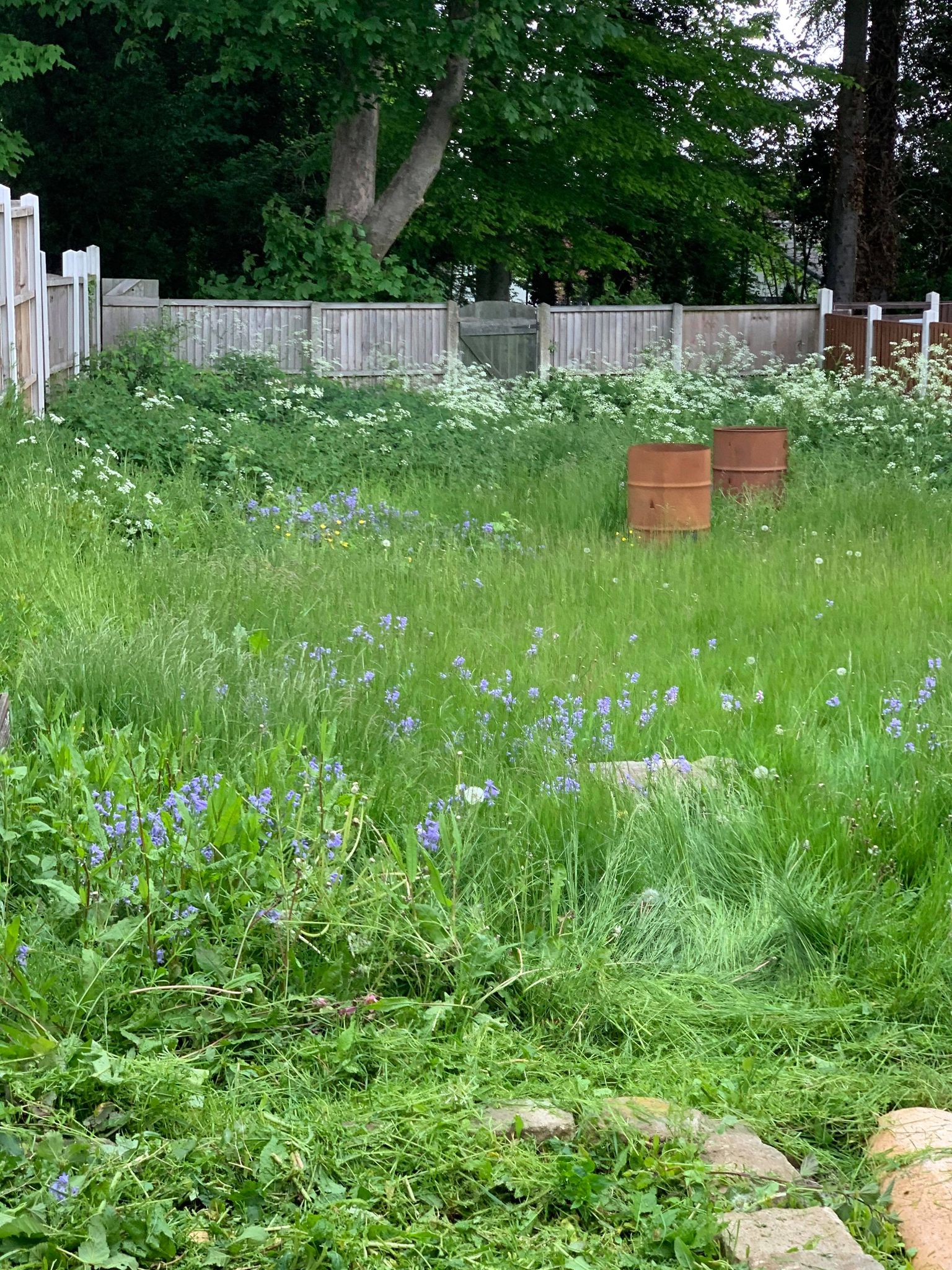 busmaster gardening image